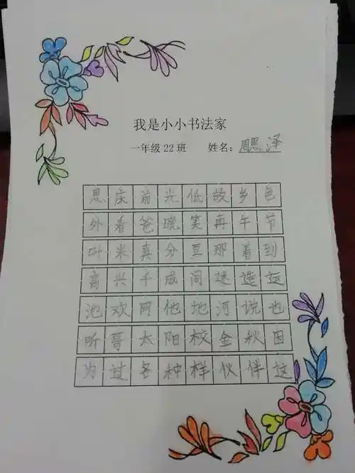 我是小小书法家