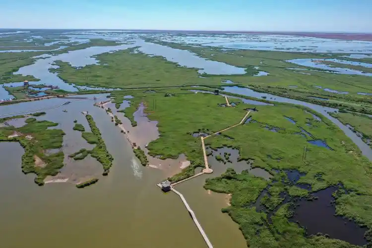 俯瞰黄河入海口|湿地_新浪财经_新浪网