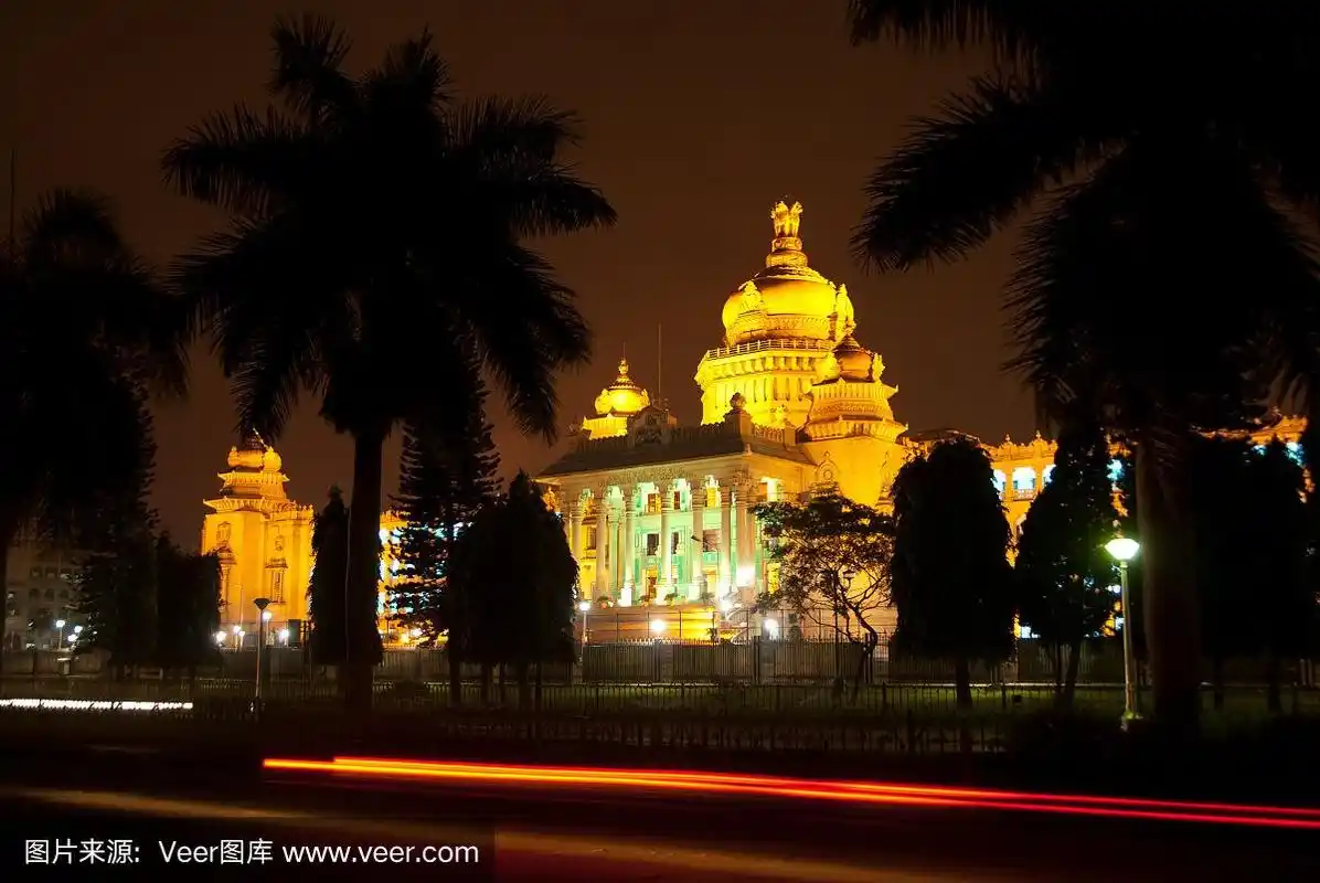晚上,班加罗尔的棕榈树照亮了整个城市