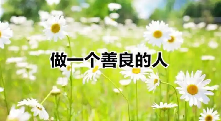 做一个善良的人,善良的人,终有福报