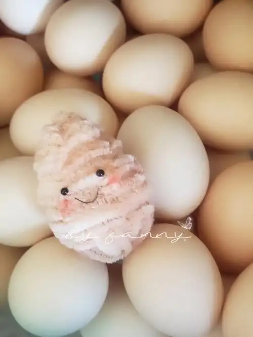 扭扭棒鸡蛋一枚