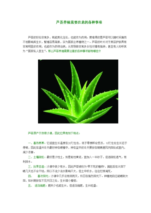 芦荟养殖需要注意的各种事项.doc
