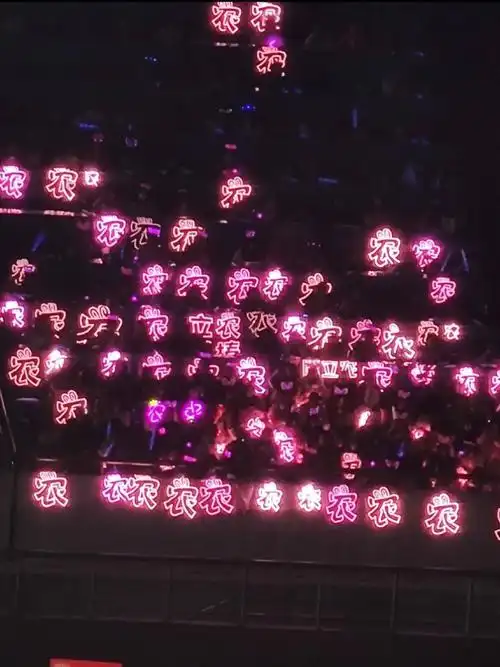 现场的应援,真的很耀眼,我们糖都是最棒的,陈立农超级无敌宇宙棒!