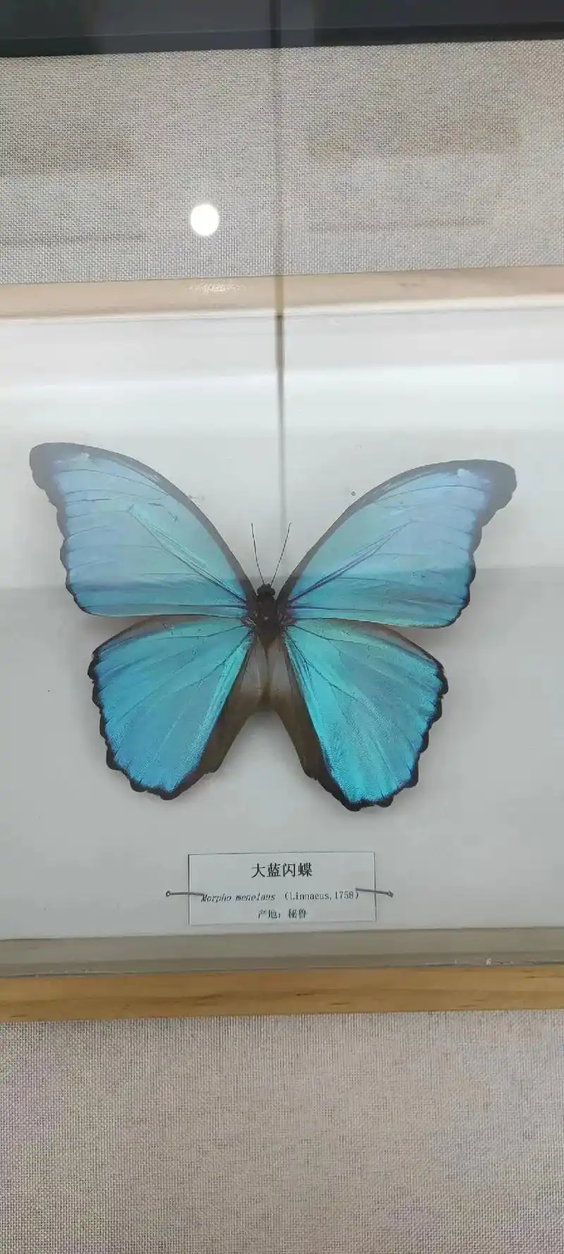 #只有照片能记录这份珍贵的回忆 #记录生活的点点滴滴留下美好 - 抖音