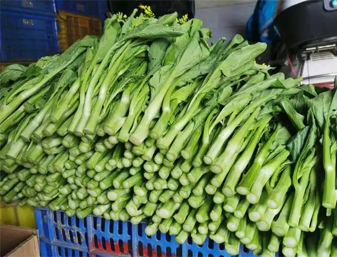 顺丰连州迟菜心广东省清远连州特产清甜爽口省内产地直发生鲜蔬菜10斤