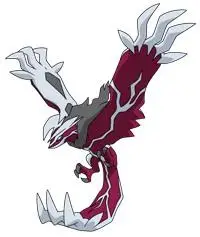 看《口袋妖怪》动画送闪光xy神兽