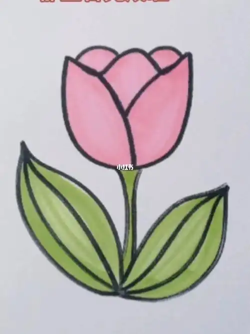 简笔画77郁金香的画法