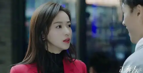 《正青春》通过几位主人公追求事业,对待人生的态度