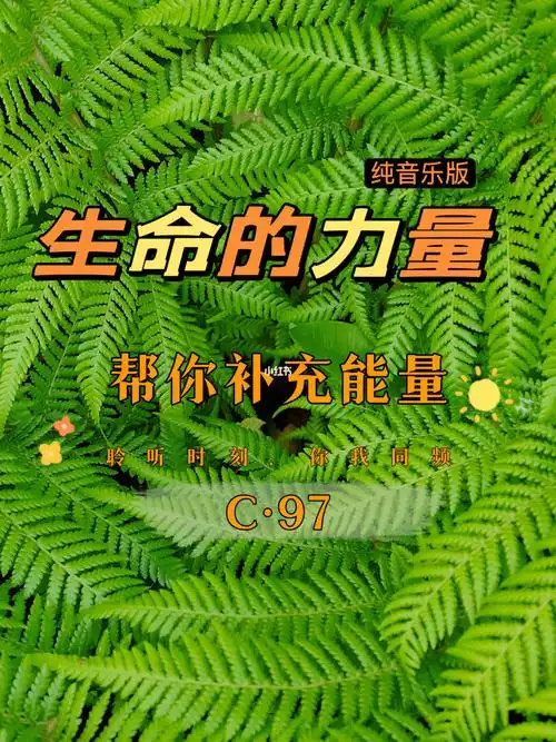 生命的力量闭目深呼吸感受能量的流动