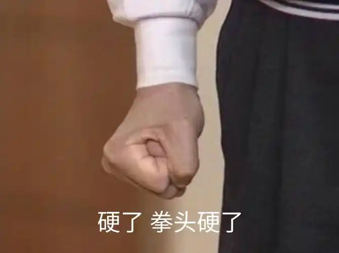 硬了 拳头硬了_拳头表情