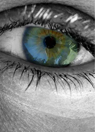 穿过镜头看透你! 眼睛特写摄影专辑