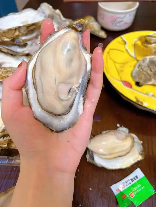 种草乳山生蚝乳山牡蛎真真真太肥美了