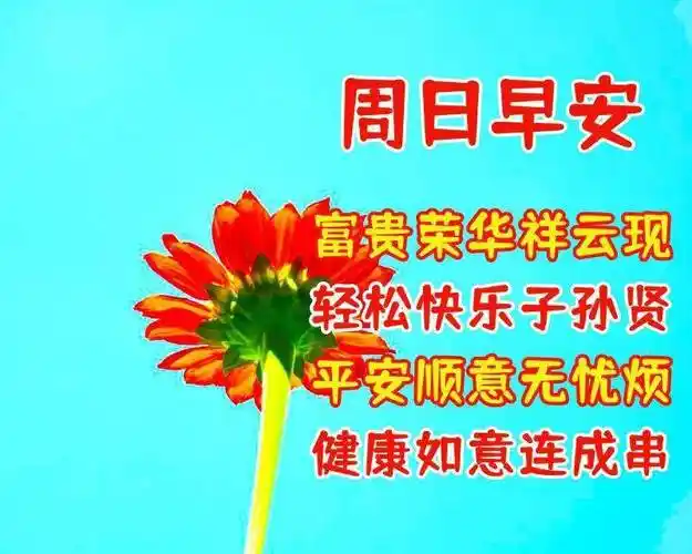 常欢乐,健康长寿送康和,五福平安乐生活,如意幸福福满多,早安吉祥4,同