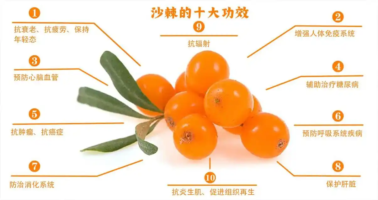 排名第一最强护肝食物,揭开最强护肝食物的神秘面纱