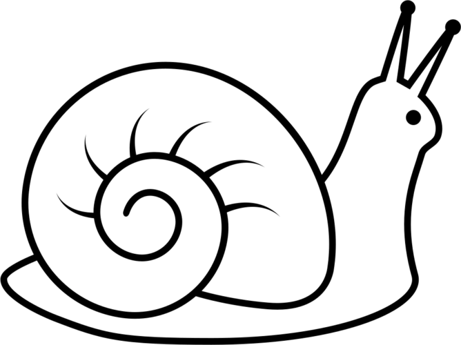 snail free icon