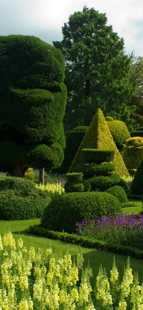 花园,灌木丛,绿色 1125x2436 iphone 11 pro/xs/x 壁纸,图片,背景