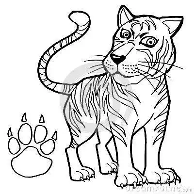 老虎简笔画步骤老虎简笔画作品彩色图片老虎简笔画步骤教程动物们的