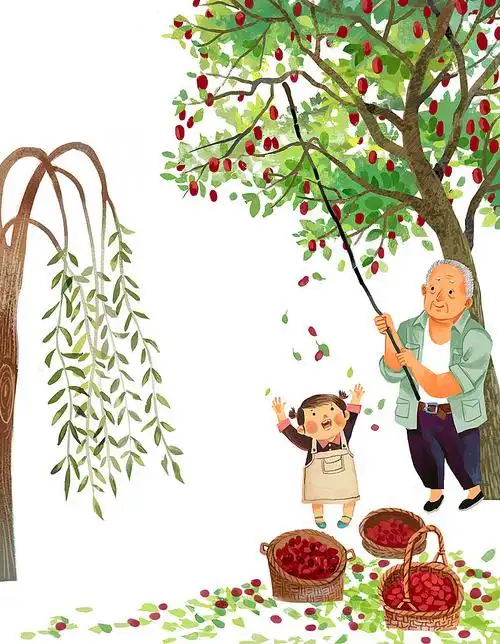 小柳树和小枣树以及其他童话|插画|儿童插画|ameilili - 原创作品