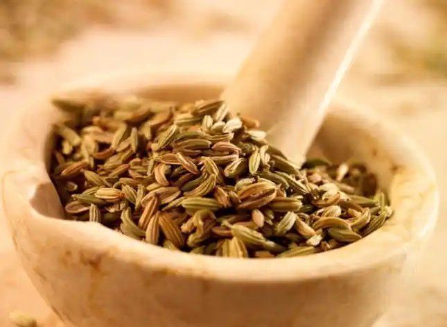 大茴香小茴香有什么区别?