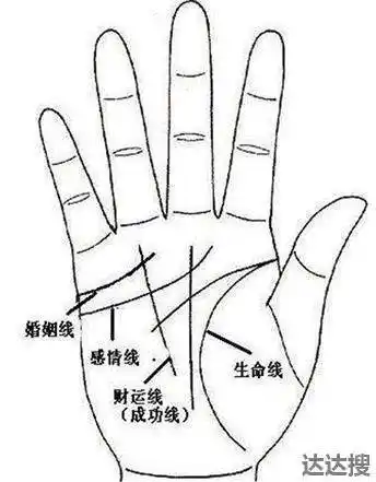 婚姻线怎么看几段姻缘 婚姻线怎么看几段姻缘图