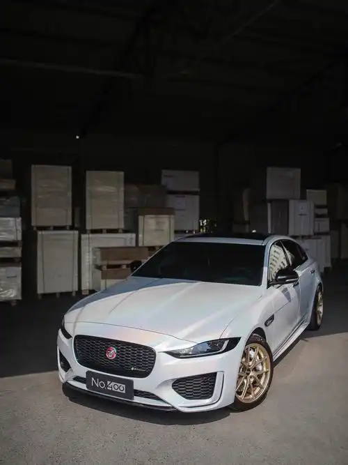 捷豹xel毕业照来一波