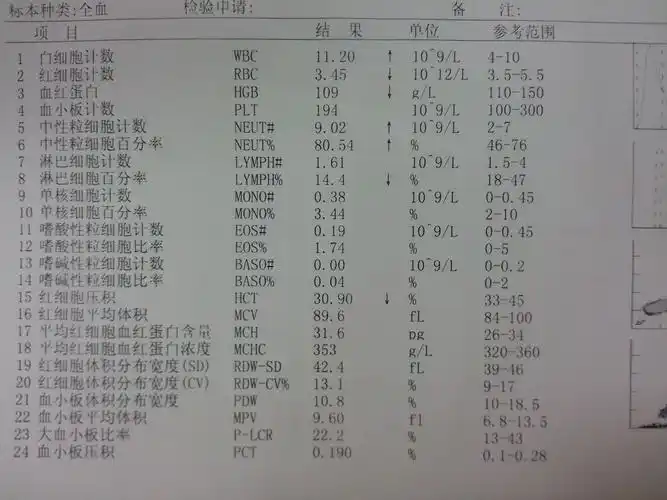 伟人细胞节选阅读练习题和答案