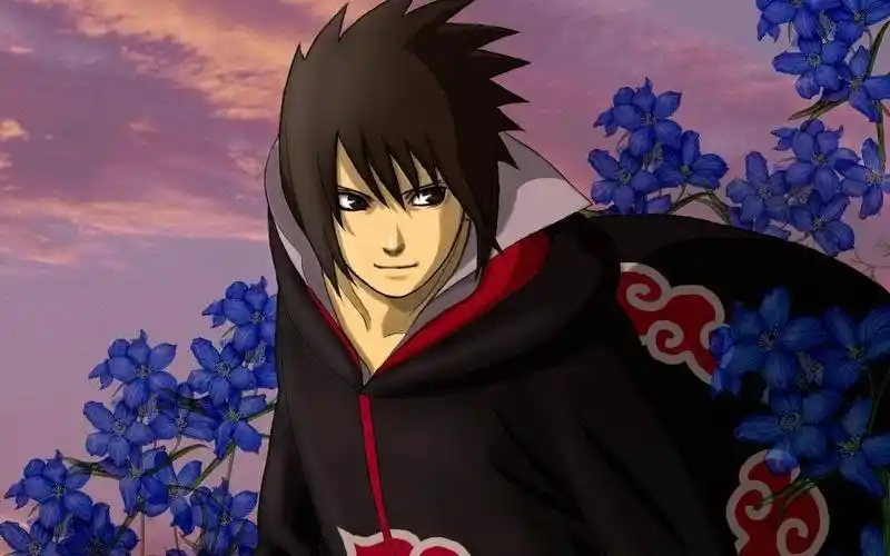 新a鹰佐助有多强?