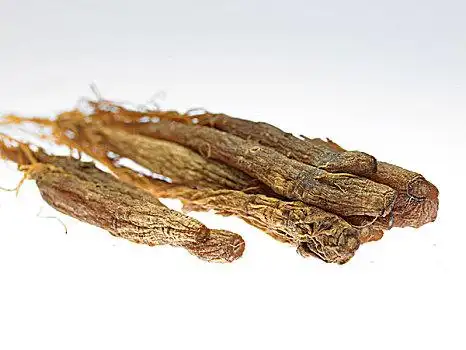 人参,根部人参三七人参药草,香人参,根部人参人参朝鲜开城高丽人参酒