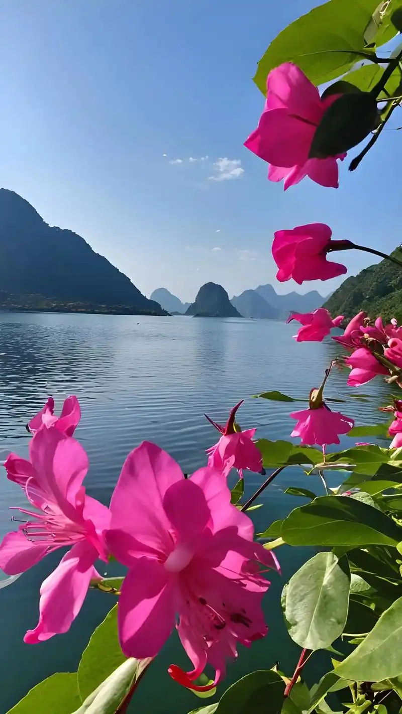 炎热的夏天走进桂林漓江,感受一下大自然新鲜的空气和 - 抖音