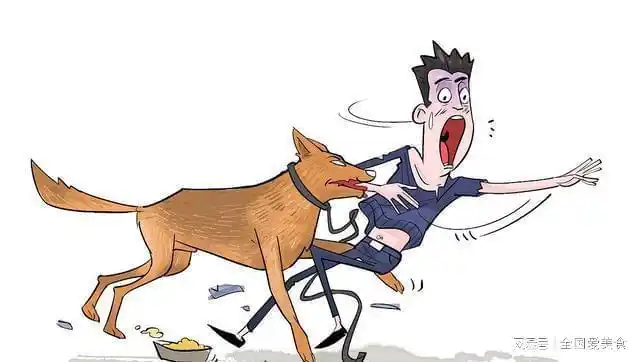 河南"狗咬人"事件处理结果出炉,王新刚冤不冤?_网易订阅