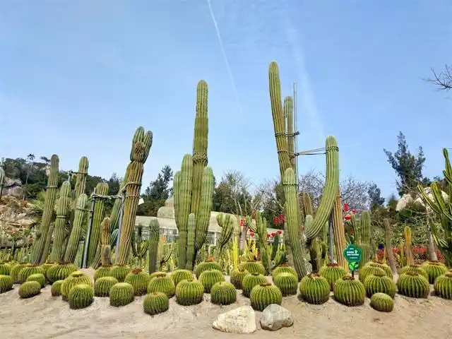 厦门植物园是一个位于中国厦门的大型公园,致力于展示世界各地植物的