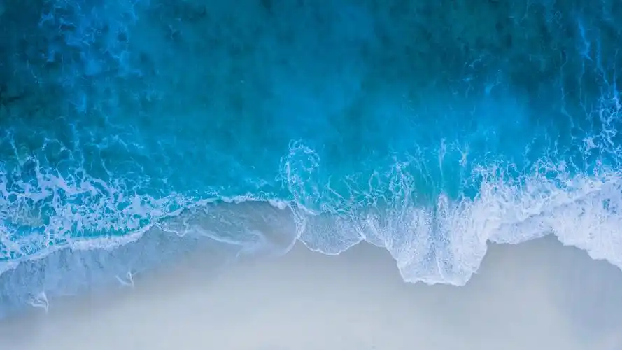 4k高清电脑壁纸(4)长期更新4k高清优质图片素材.竹石