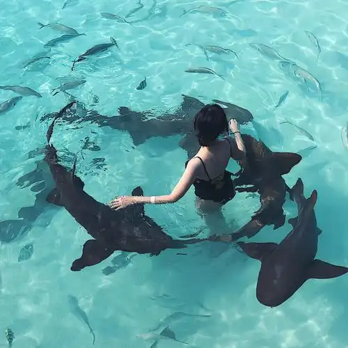 夏日滤镜  #女生头像  #氛围感