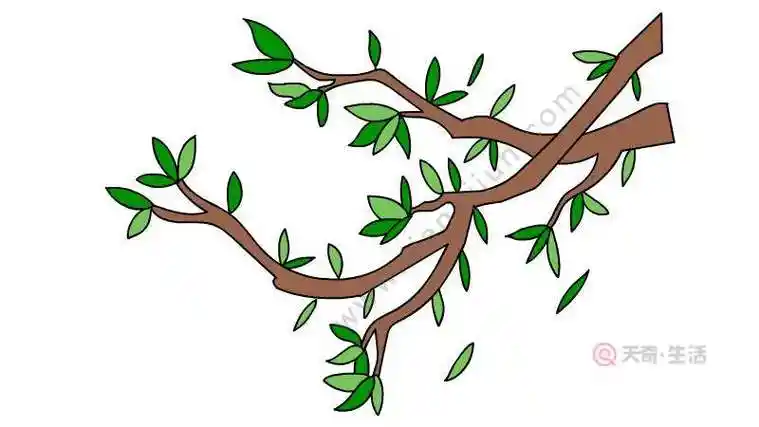 树枝简笔画 树枝简笔画步骤