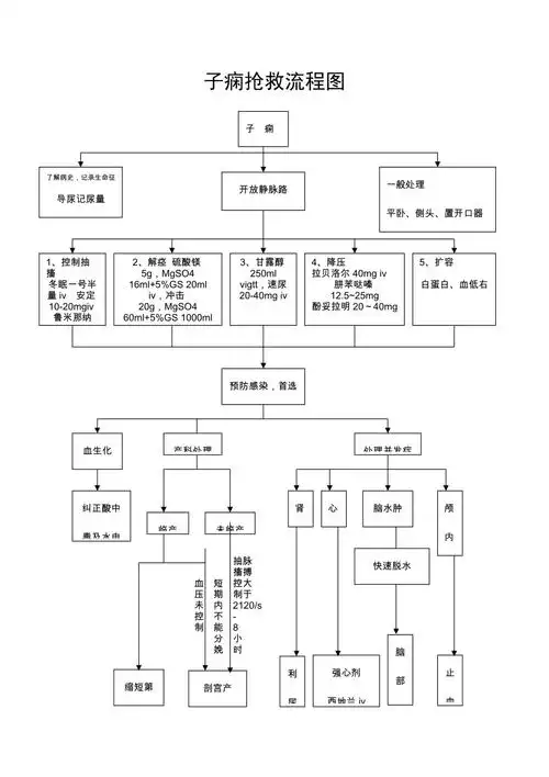 子痫抢救流程图