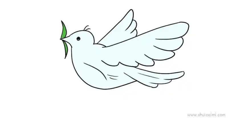 和平鸽儿童画怎么画和平鸽简笔画简单