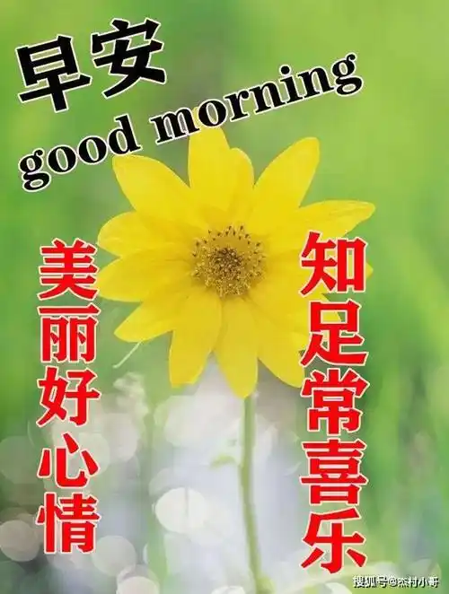 原创夏天早上好表情动态美女可爱表情图片2022早上好问候语表情动态