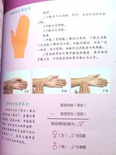 教你自己把脉看男女了!