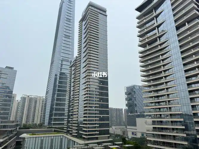 号 #新玺 #国金汇 #东海国际公寓 #深业上城 #华润悦玺 #卓越前海一号