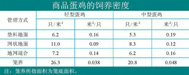 养鸡技术|产蛋鸡环境管理的5个主要方面|鸡舍|产蛋率|采食量|舍内