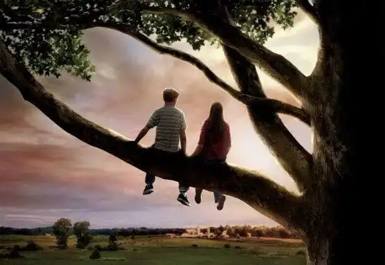 纯美爱恋——观影《flipped》( 怦然心动) | 一路芬芳