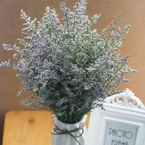 一花一世界,一叶一菩提——奇花异草情人草,花语传说赏花种植