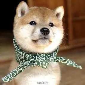 首页123456下一页精选头像情侣头像nba搞笑搞笑头像沙雕真人男梁志超