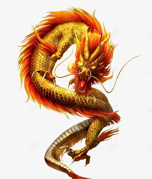 com 免抠 免抠图 华丽 图标 精美 金色 金龙 金龙图案 龙 龙的logo