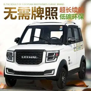 雷迈款电动四轮车成人代步车家用电动汽车新能源油电两用电瓶轿车