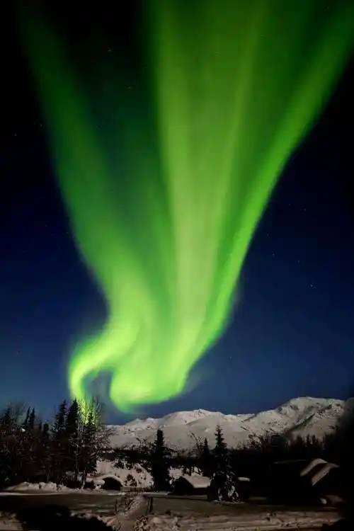 阿拉斯加费尔班克斯追寻北极光