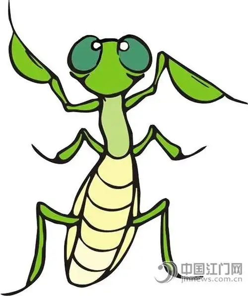 聪明的螳螂
