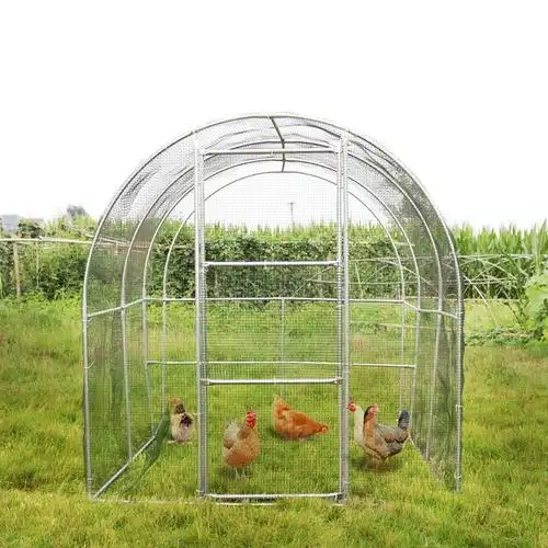 养殖大型鸡笼养鸡鸡棚户外钢管搭建大棚家禽畜牧