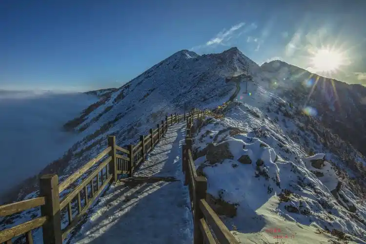 太白山森林公园