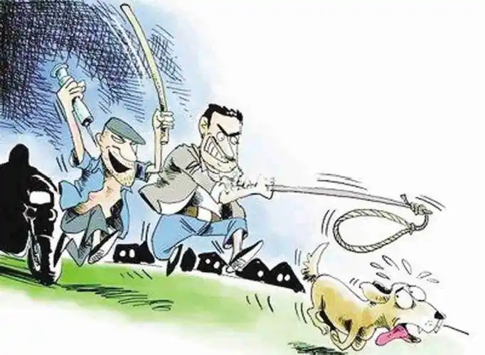 保定仨"偷狗贼"俩月偷了10多条狗!嫌疑人:想吃狗肉了